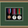 Walnut picture frame for three military medals with forest green mount