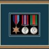 Walnut picture frame for three military medals with nightshade mount