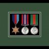 Black picture frame for three military medals with forest green mount