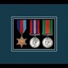Black picture frame for three military medals with nightshade mount