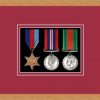 Light woodgrain picture frame for three military medals with beaujolais mount