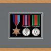 Light woodgrain picture frame for three military medals with grey mount