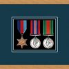 Light woodgrain picture frame for three military medals with nightshade mount