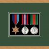 Light woodgrain picture frame for three military medals with forest green mount