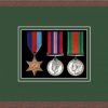 Dark woodgrain picture frame for three military medals with forest green mount