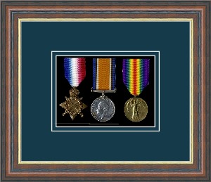WW1 Medal display picture frame